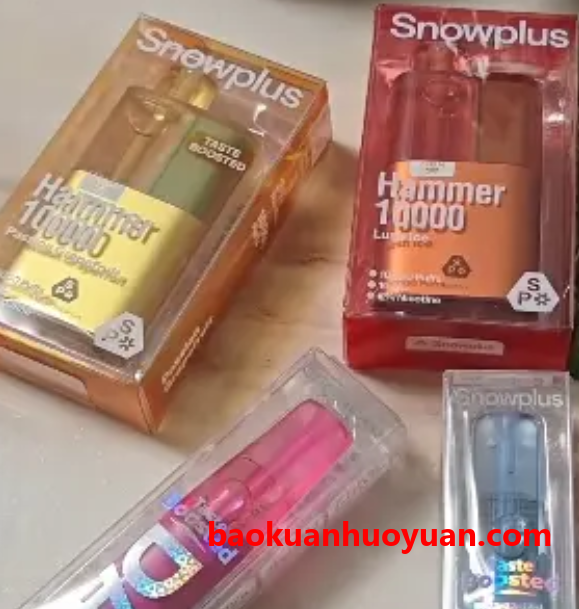 雪加一次性电子烟鸭嘴兽和大板砖对比：哪个更值得买？