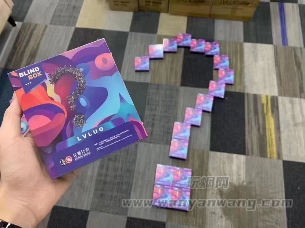 绿萝盲盒套装售价多少钱，绿萝盲盒介绍