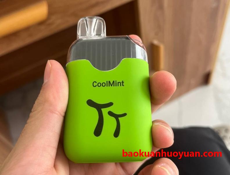 TT电子烟小冰盒：一次性电子烟的完美选择