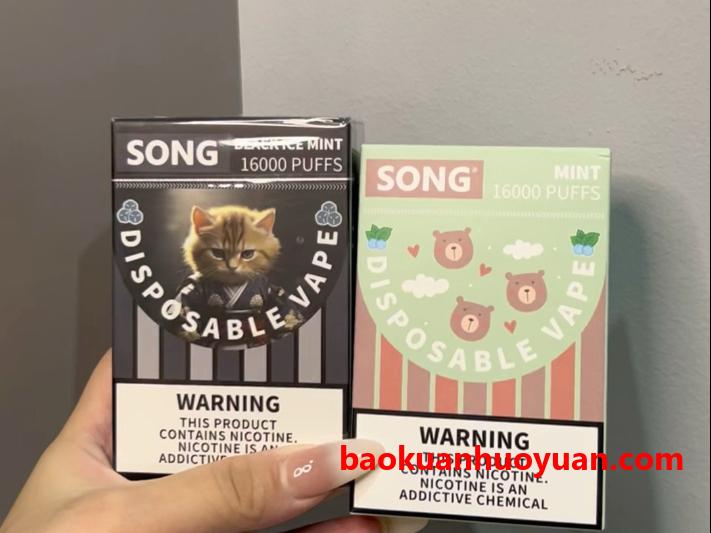 硬核对决：雪加“大板砖”_vs_崧A29，谁才是2026年一次性电子的终极答案？