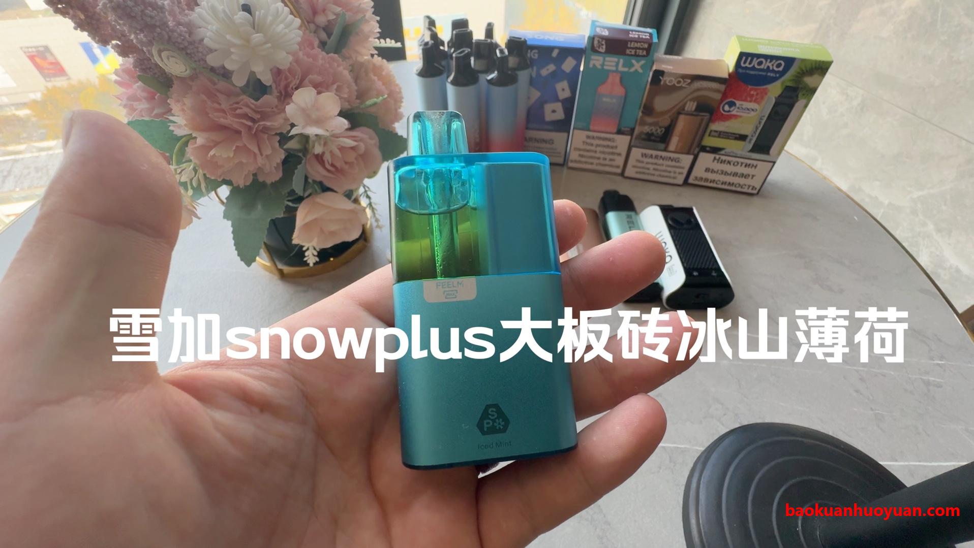 雪加双子星对决：大板砖_vs_鸭嘴兽，谁是真命天子？